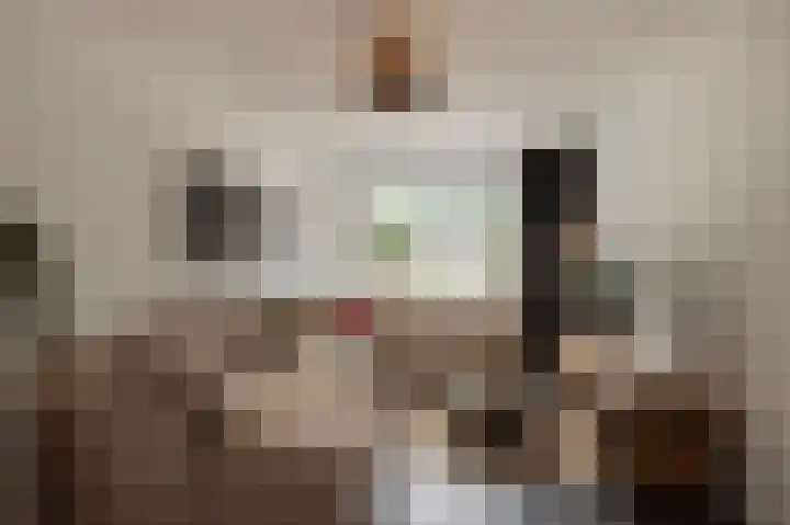 Hogebergdreef 49 Putte thumbnail 7