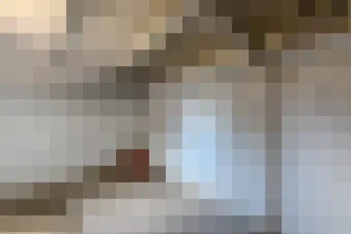 Hogebergdreef 55 Putte thumbnail 26