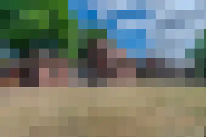 Hogebergdreef 55 Putte thumbnail 29