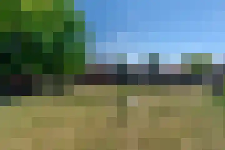 Hogebergdreef 55 Putte thumbnail 31