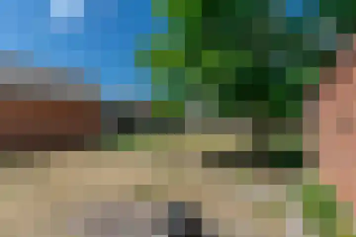 Hogebergdreef 55 Putte thumbnail 32