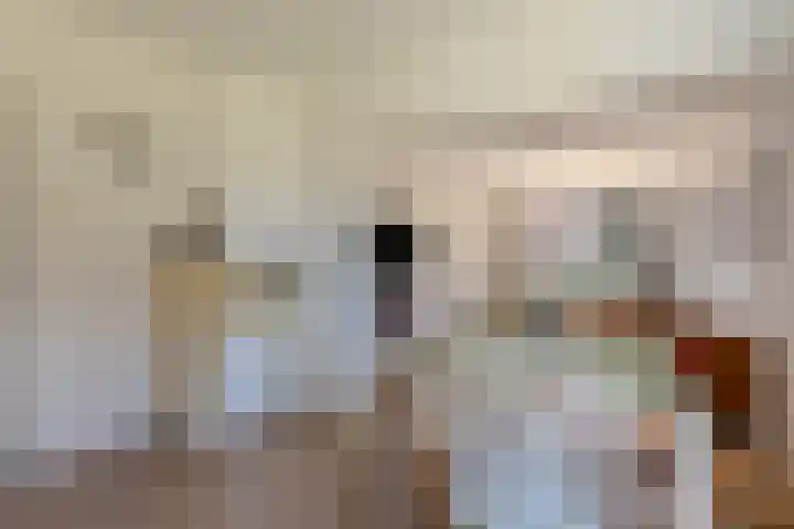 Hogebergdreef 55 Putte thumbnail 9