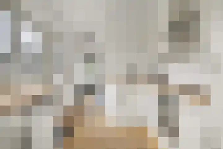 Hogebergdreef 9 Putte thumbnail 10