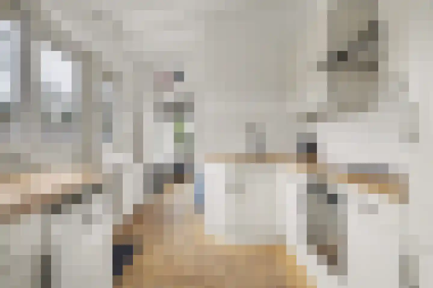 Hogebergdreef 9 Putte thumbnail 10