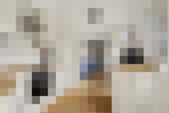 Hogebergdreef 9 Putte thumbnail 11