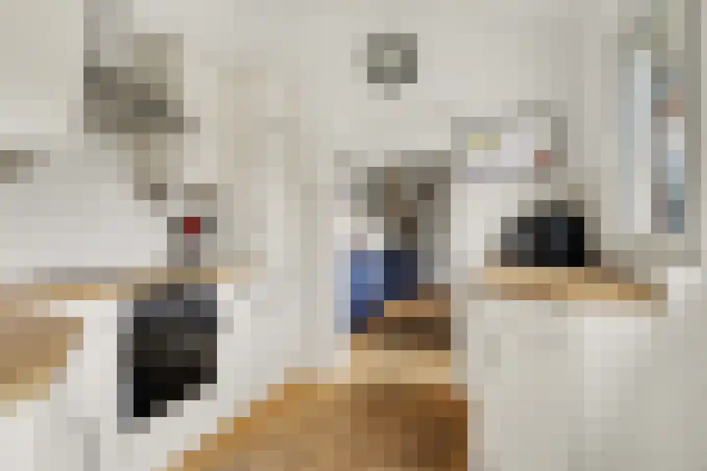 Hogebergdreef 9 Putte thumbnail 11