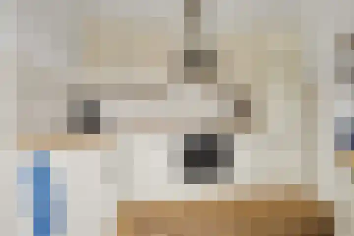 Hogebergdreef 9 Putte thumbnail 12