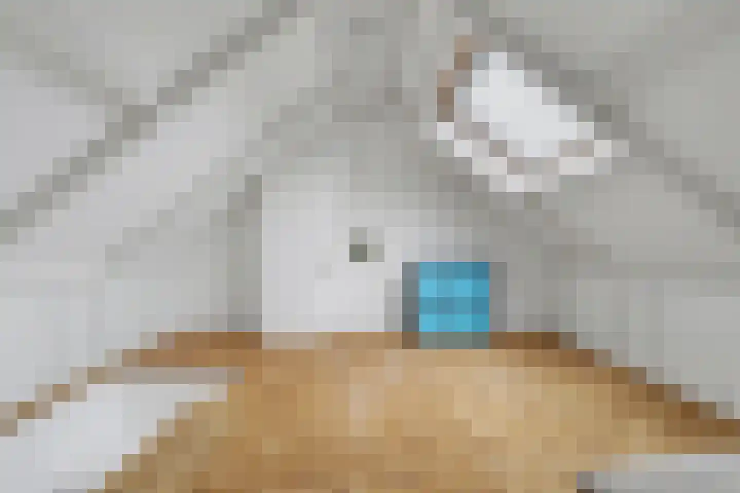 Hogebergdreef 9 Putte thumbnail 20