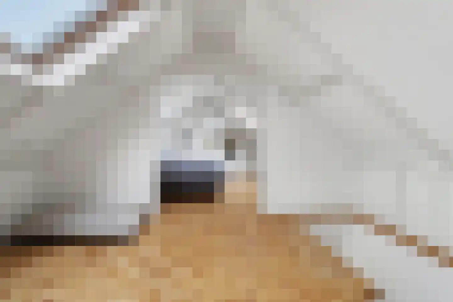 Hogebergdreef 9 Putte thumbnail 21