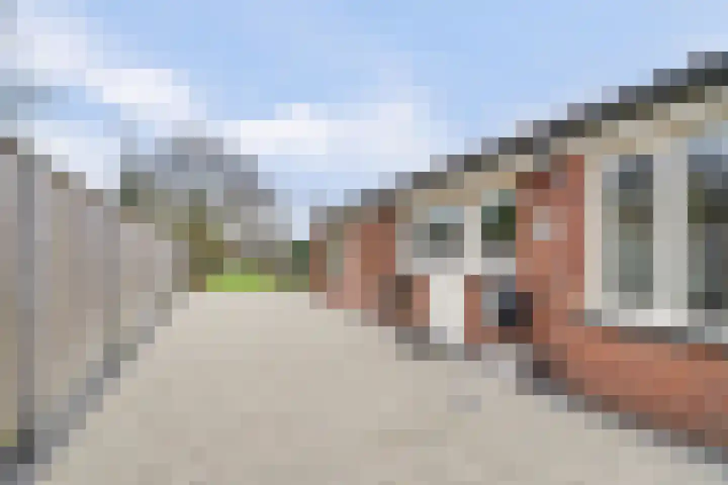 Hogebergdreef 9 Putte thumbnail 24