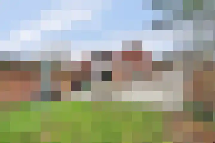 Hogebergdreef 9 Putte thumbnail 26
