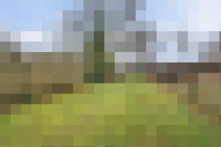 Hogebergdreef 9 Putte thumbnail 27
