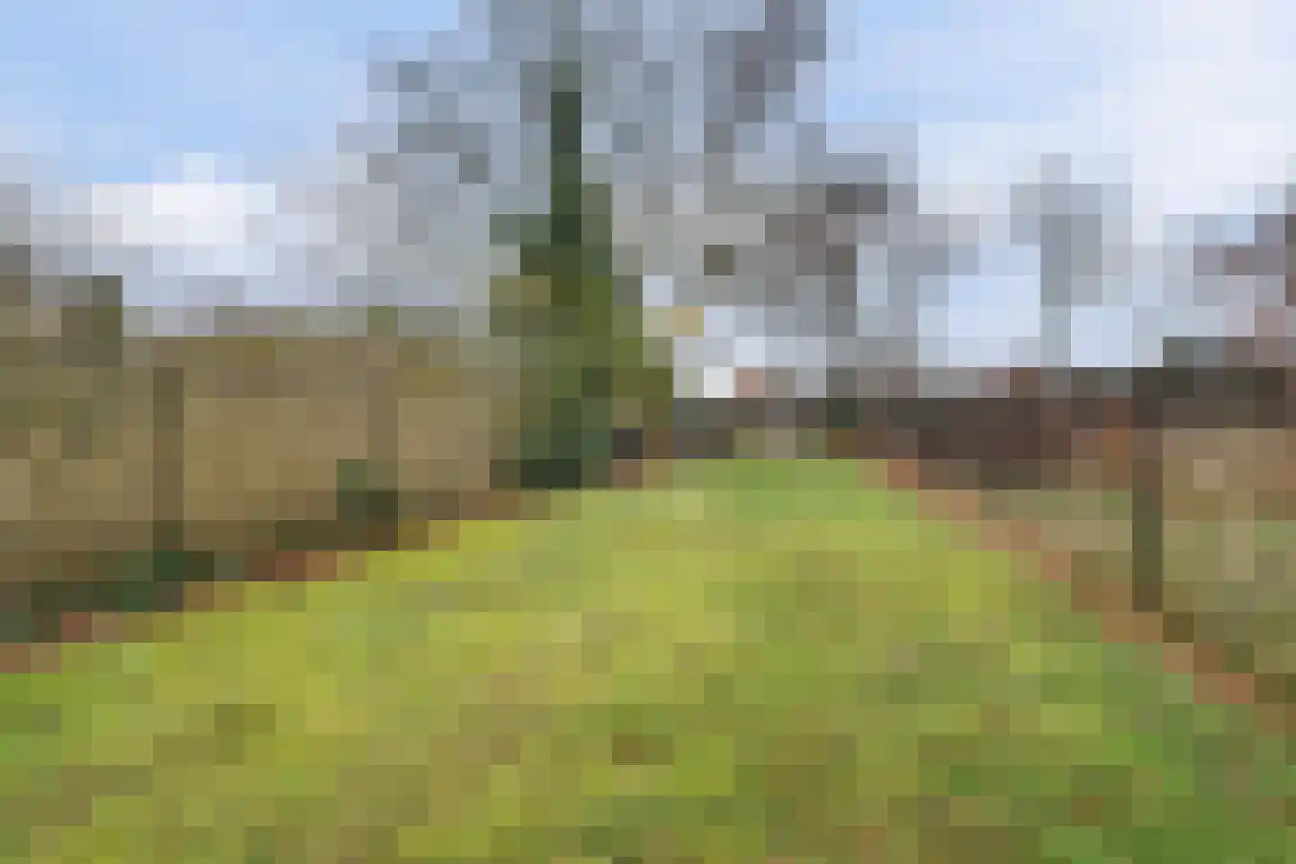 Hogebergdreef 9 Putte thumbnail 27