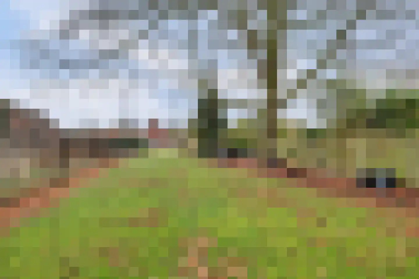 Hogebergdreef 9 Putte thumbnail 28