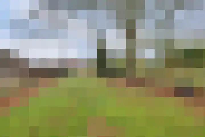 Hogebergdreef 9 Putte thumbnail 28