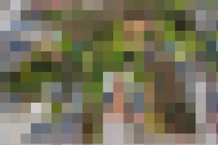 Hogebergdreef 9 Putte thumbnail 32
