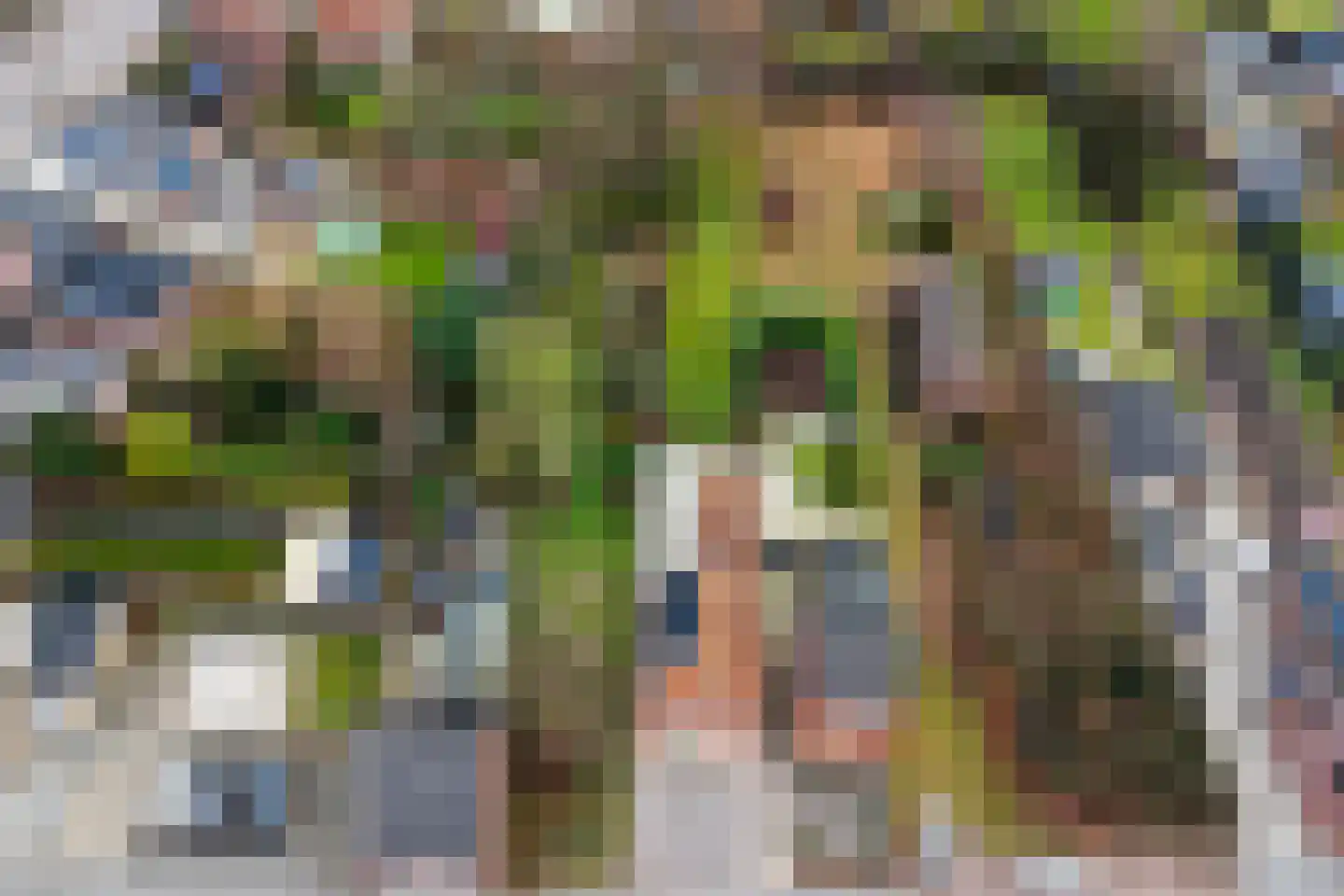 Hogebergdreef 9 Putte thumbnail 32