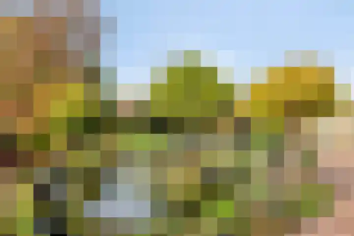 Hogebergdreef 9 Putte thumbnail 35