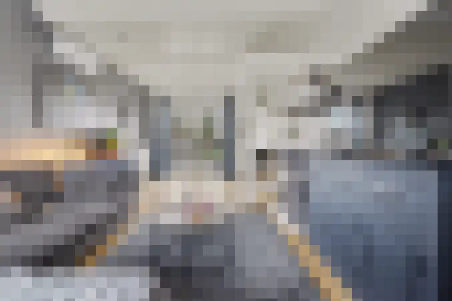 Hogebergdreef 9 Putte thumbnail 5