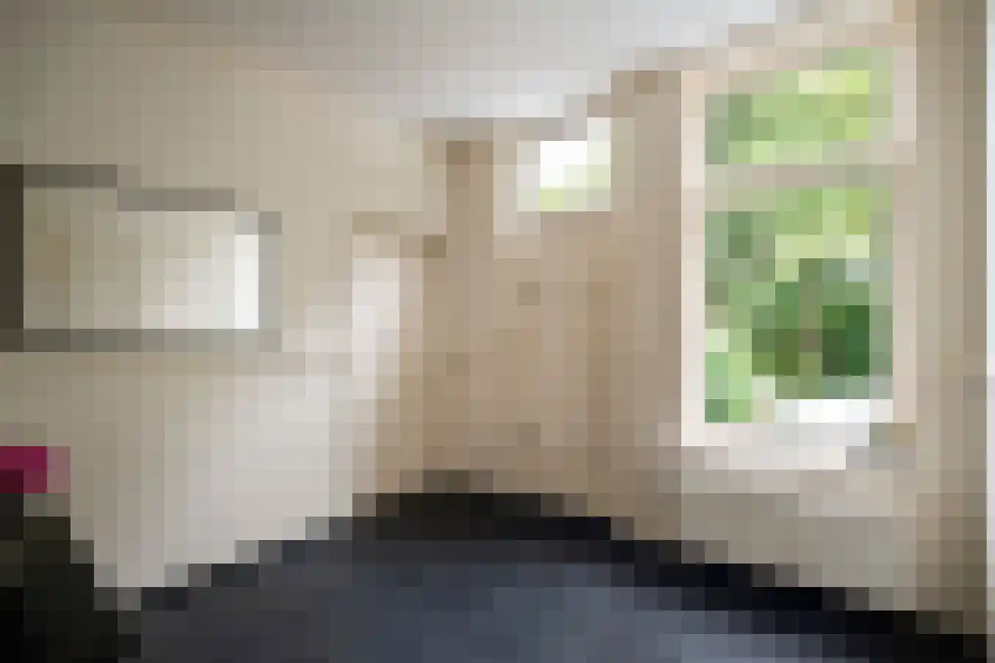 Hogebierenweg 7 Haringhuizen thumbnail 16