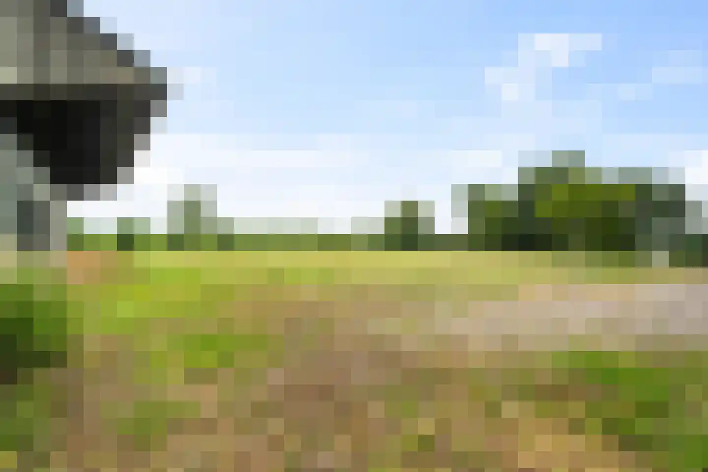 Hogebierenweg 7 Haringhuizen thumbnail 35