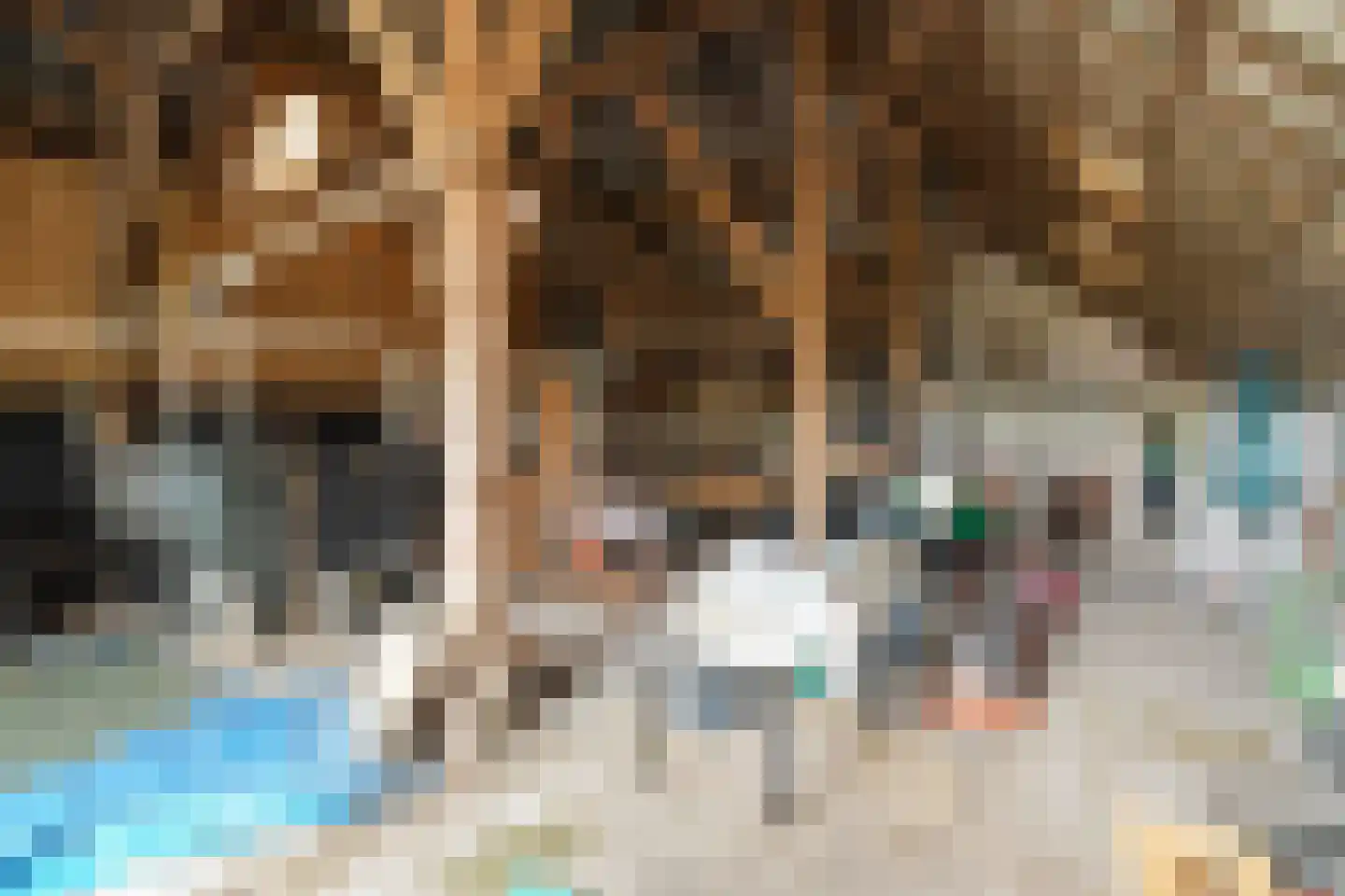 Hogebierenweg 7 Haringhuizen thumbnail 38