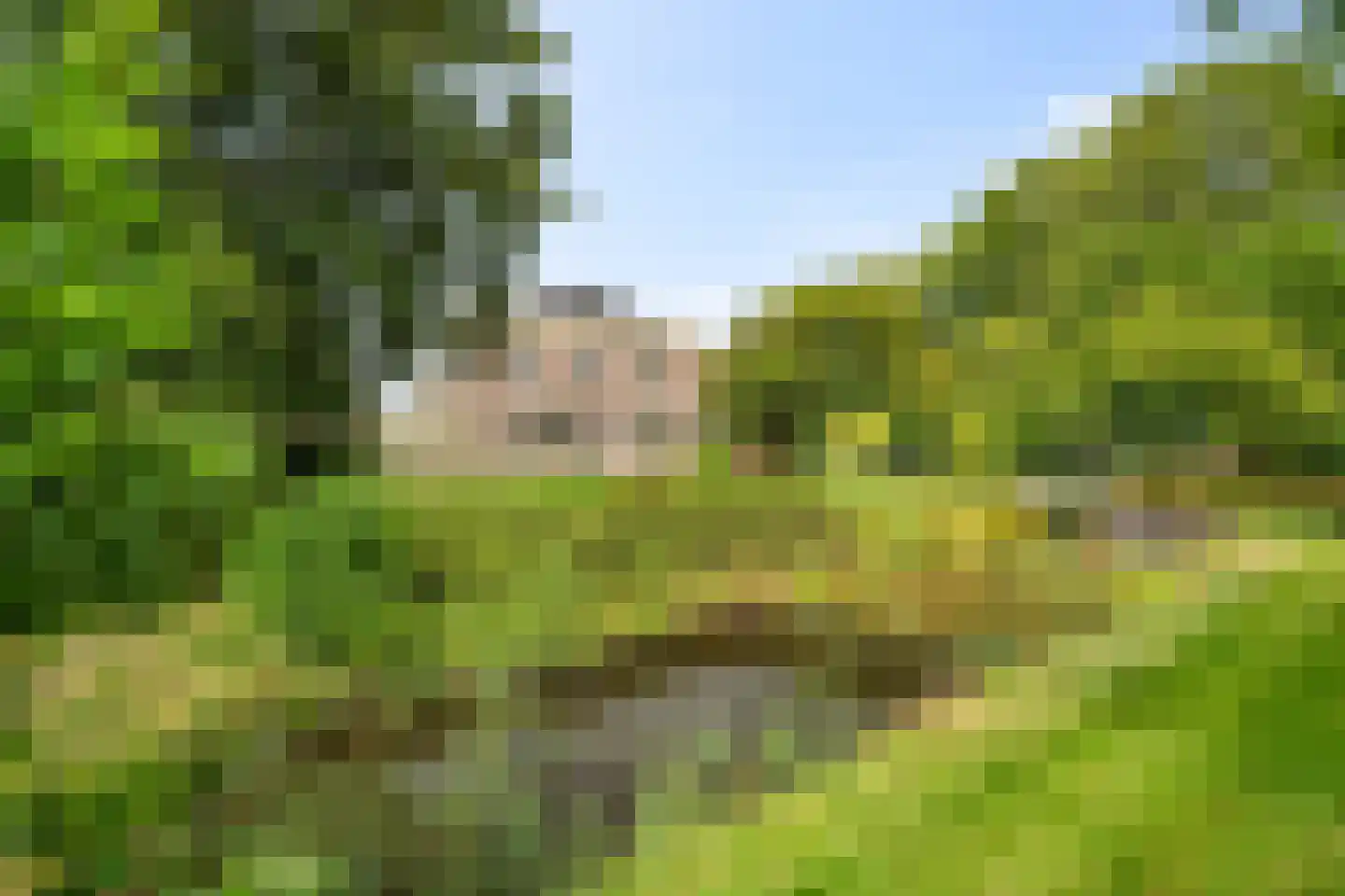Hogebierenweg 7 Haringhuizen thumbnail 46