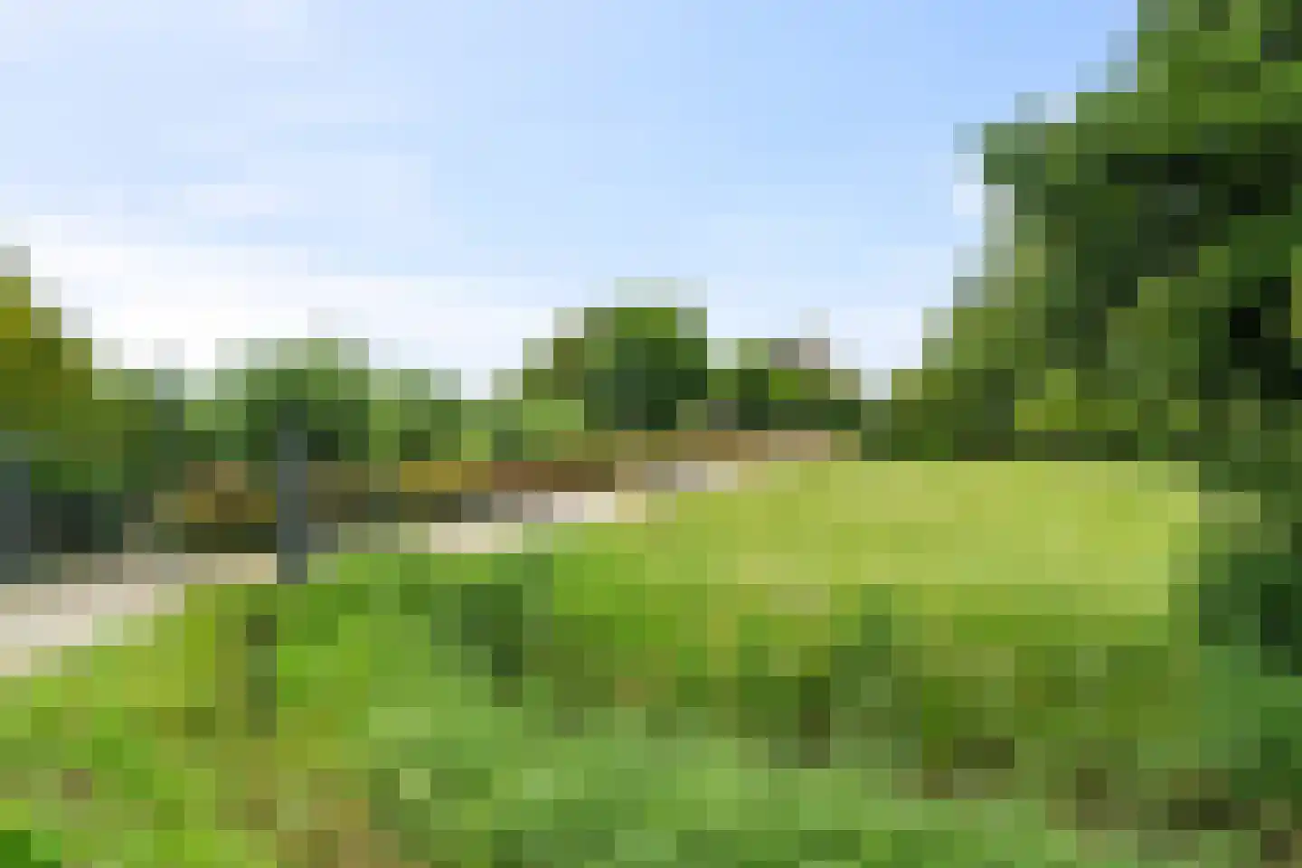 Hogebierenweg 7 Haringhuizen thumbnail 47
