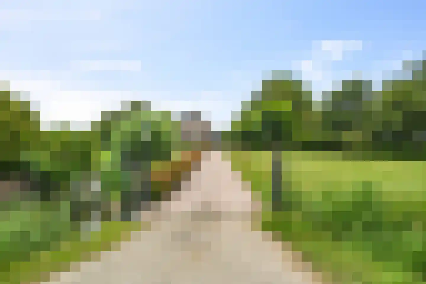 Hogebierenweg 7 Haringhuizen thumbnail 48
