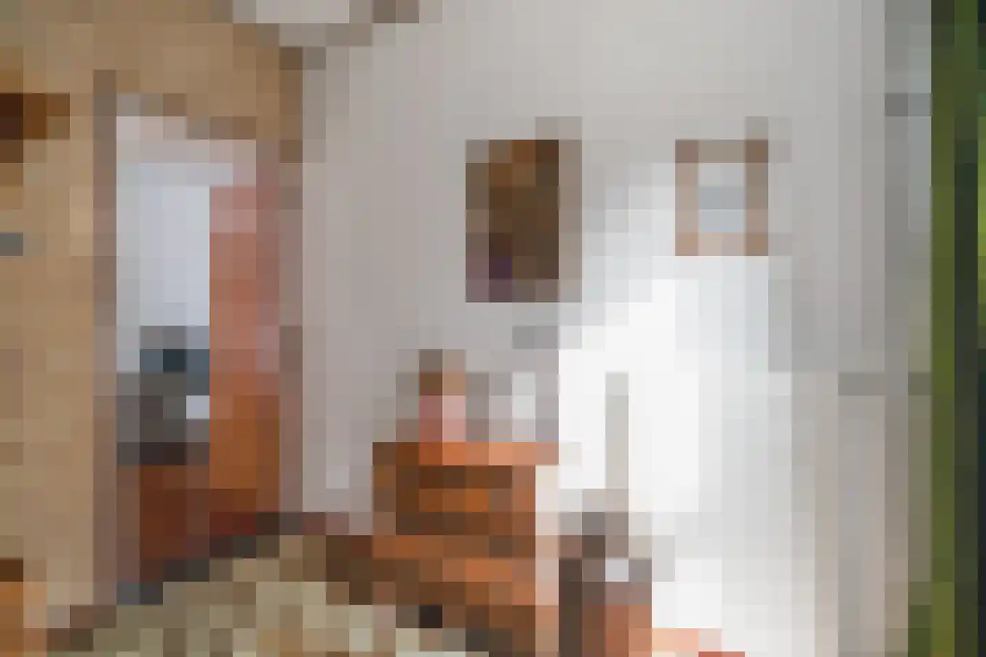 Hogeboekelweg 14 Losser thumbnail 11
