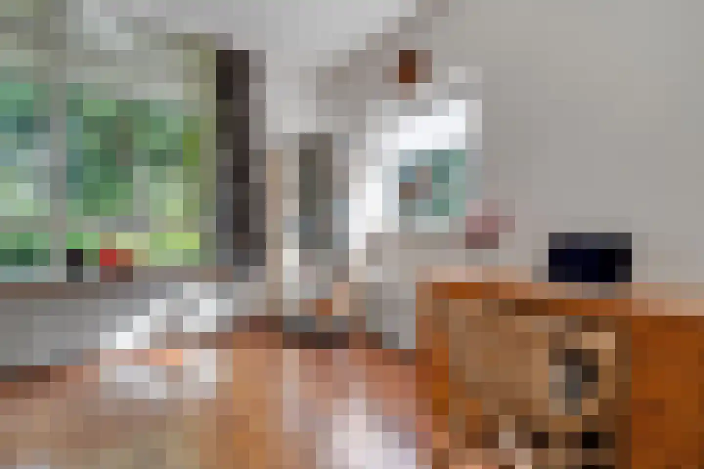 Hogeboekelweg 14 Losser thumbnail 15