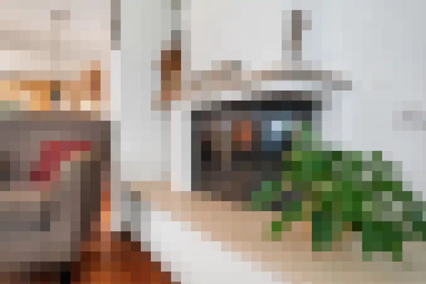 Hogeboekelweg 14 Losser thumbnail 17