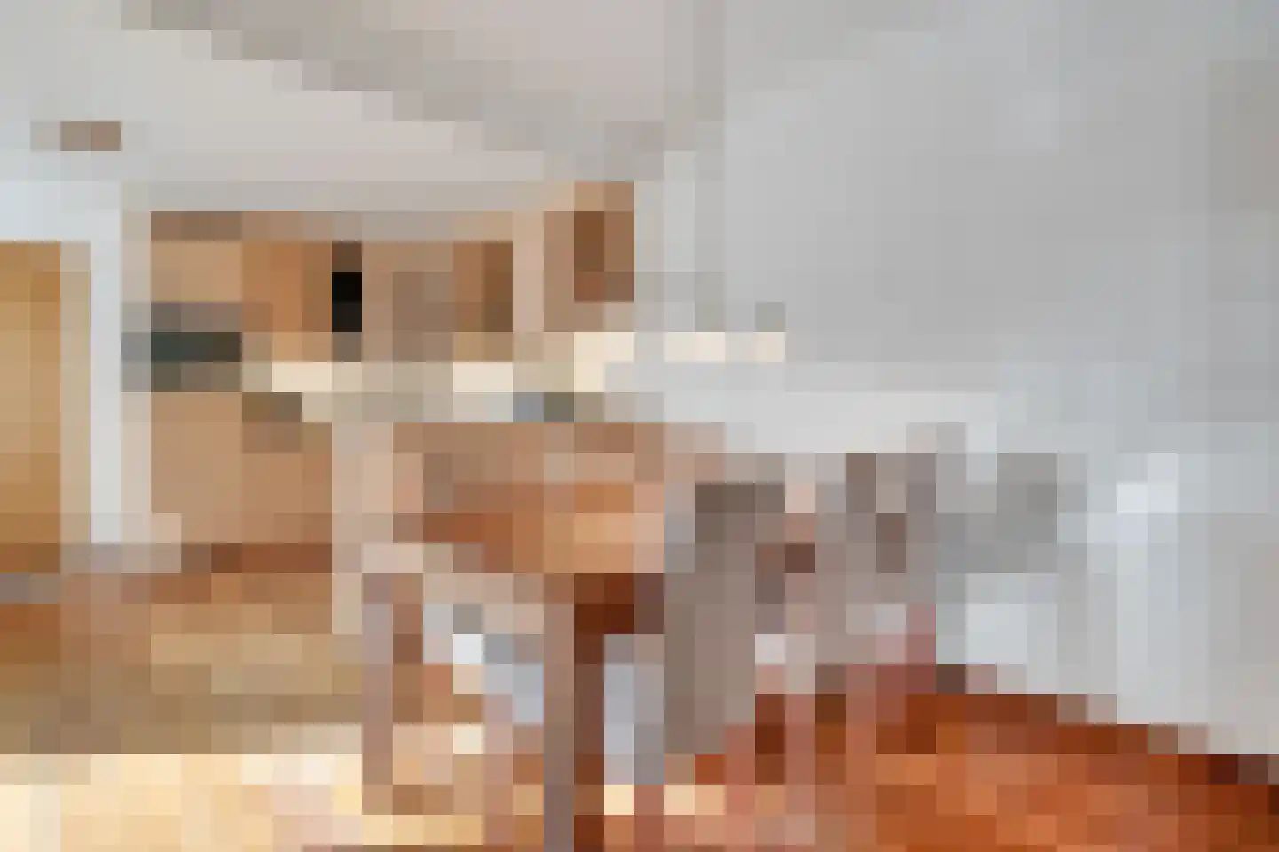 Hogeboekelweg 14 Losser thumbnail 18