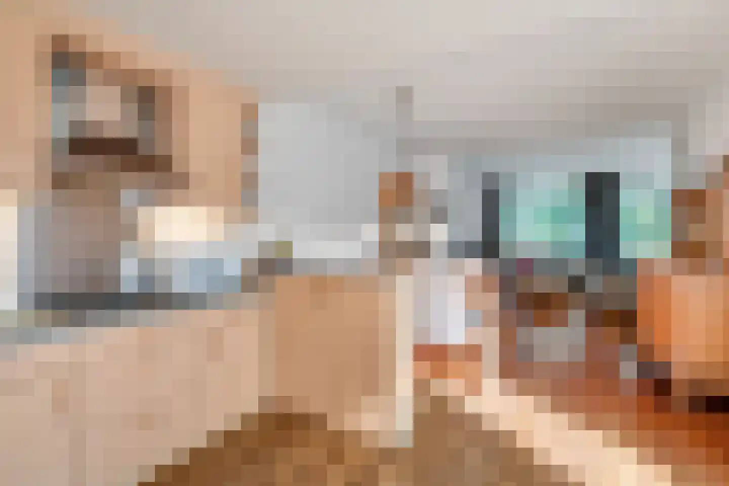 Hogeboekelweg 14 Losser thumbnail 21