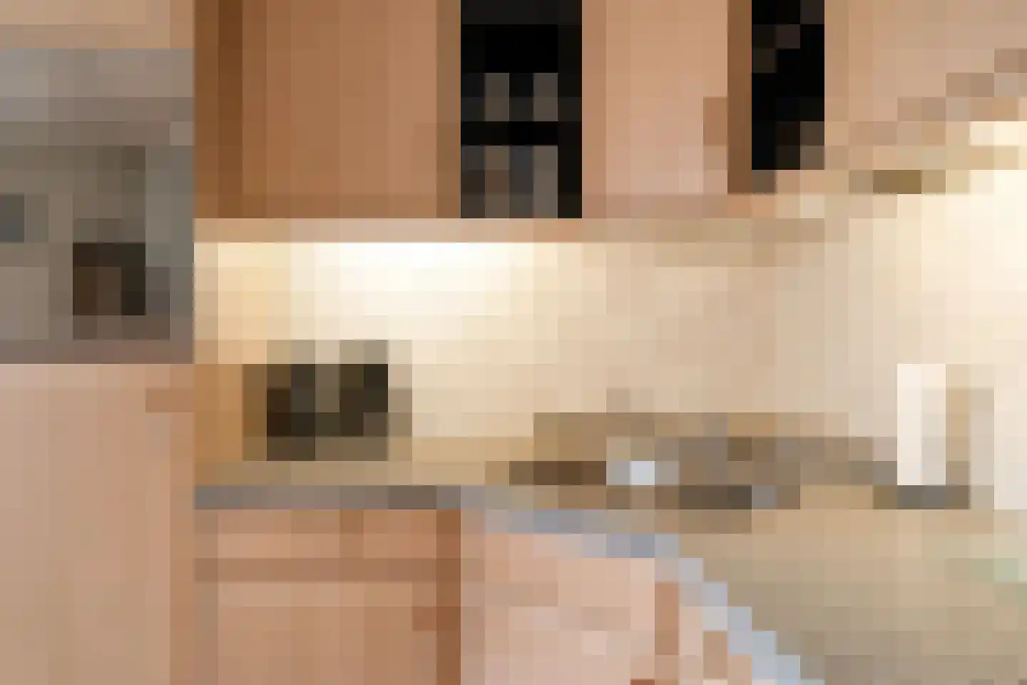 Hogeboekelweg 14 Losser thumbnail 25