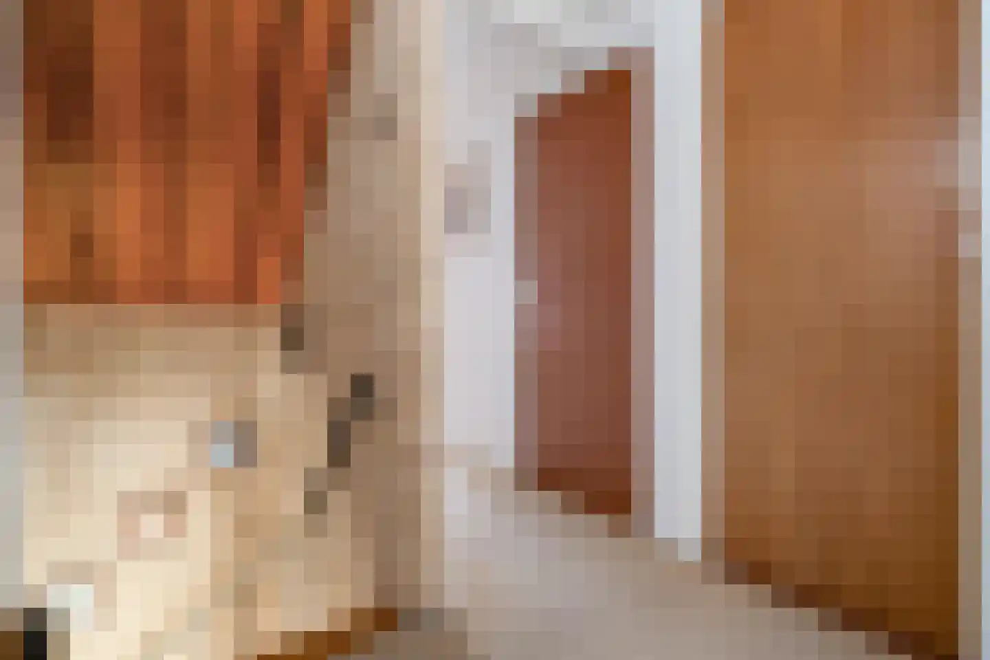 Hogeboekelweg 14 Losser thumbnail 29