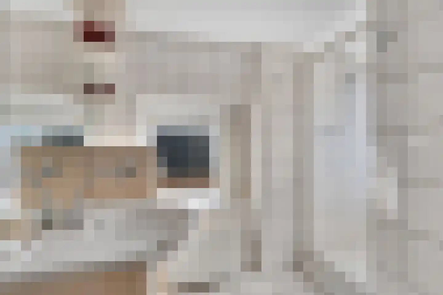 Hogeboekelweg 14 Losser thumbnail 34