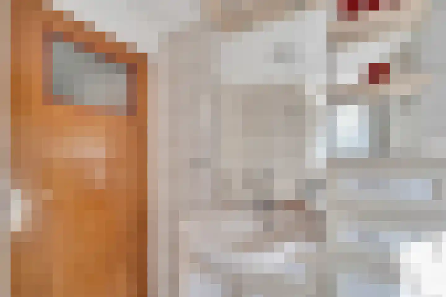 Hogeboekelweg 14 Losser thumbnail 35