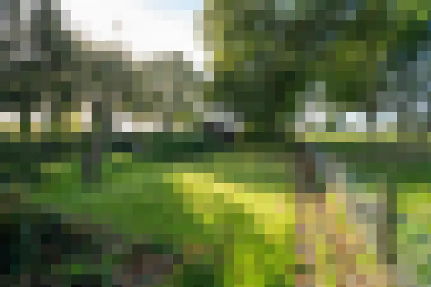Hogeboekelweg 14 Losser thumbnail 43