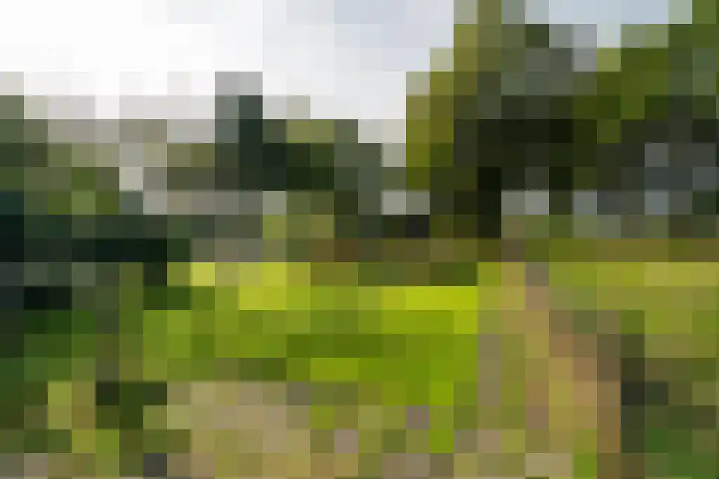 Hogeboekelweg 14 Losser thumbnail 45