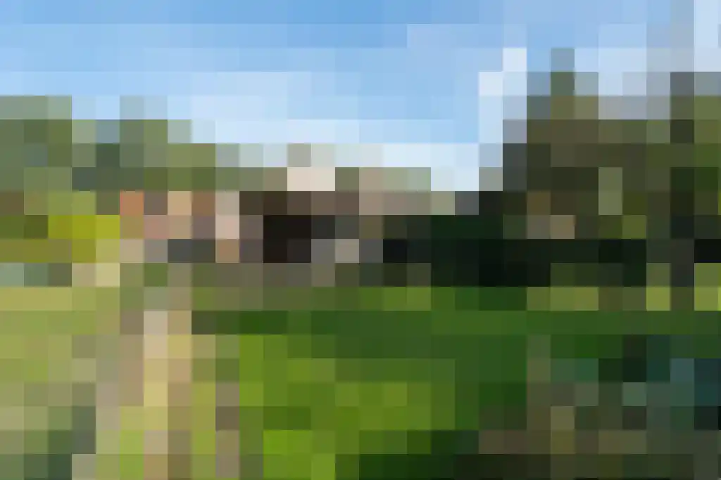 Hogeboekelweg 14 Losser thumbnail 46