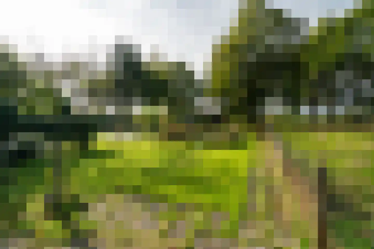 Hogeboekelweg 14 Losser thumbnail 7