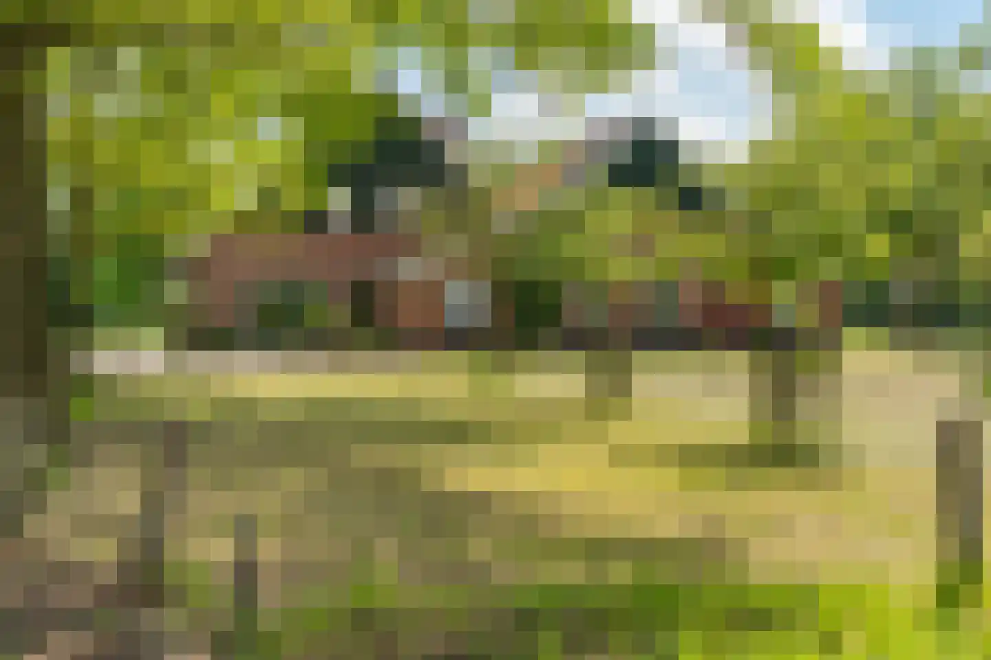 Hogeboekelweg 87 Losser