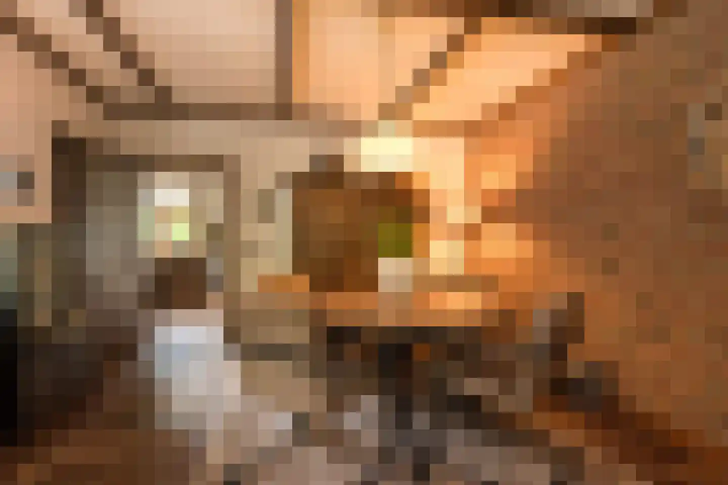Hogeboekelweg 87 Losser thumbnail 11