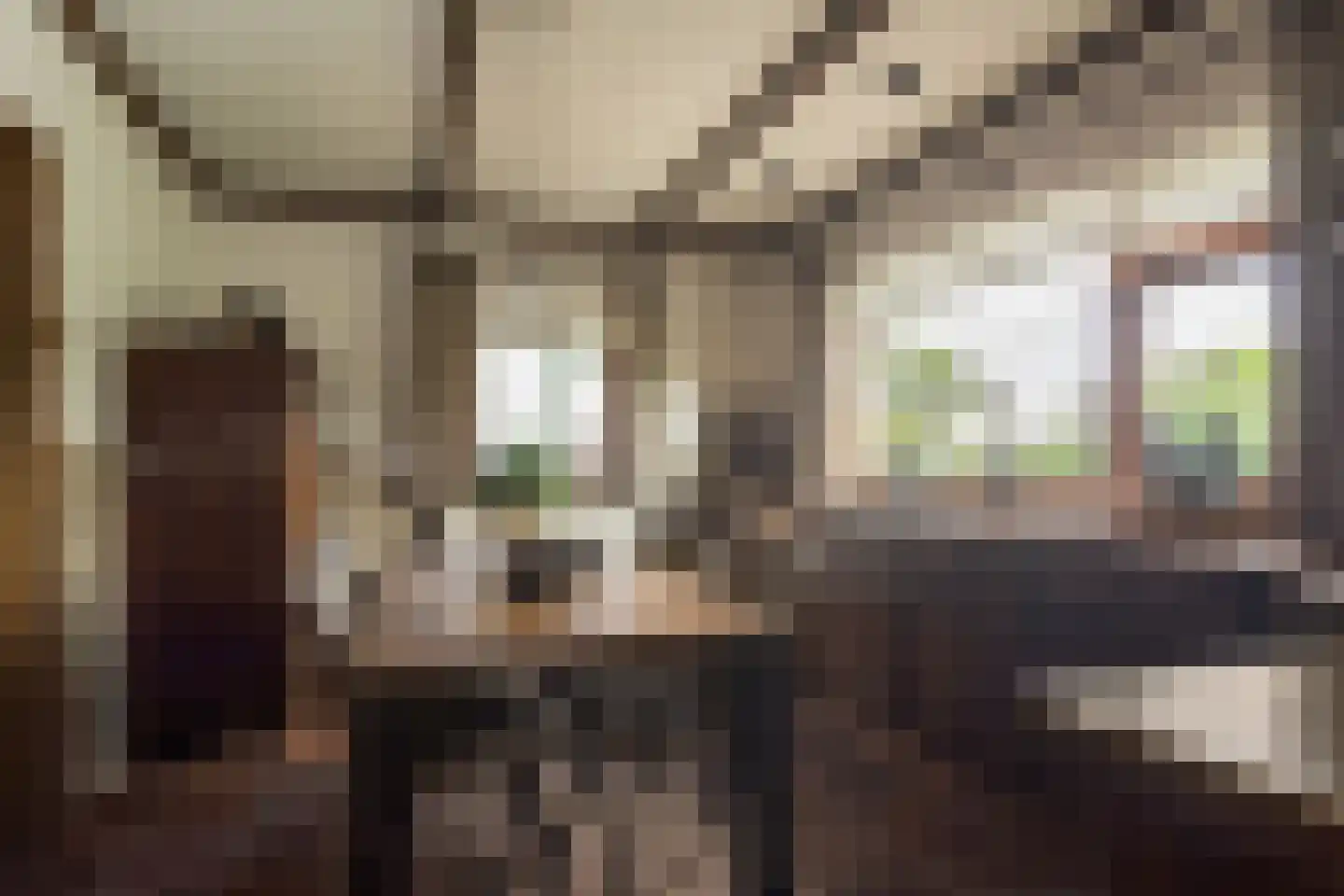 Hogeboekelweg 87 Losser thumbnail 12