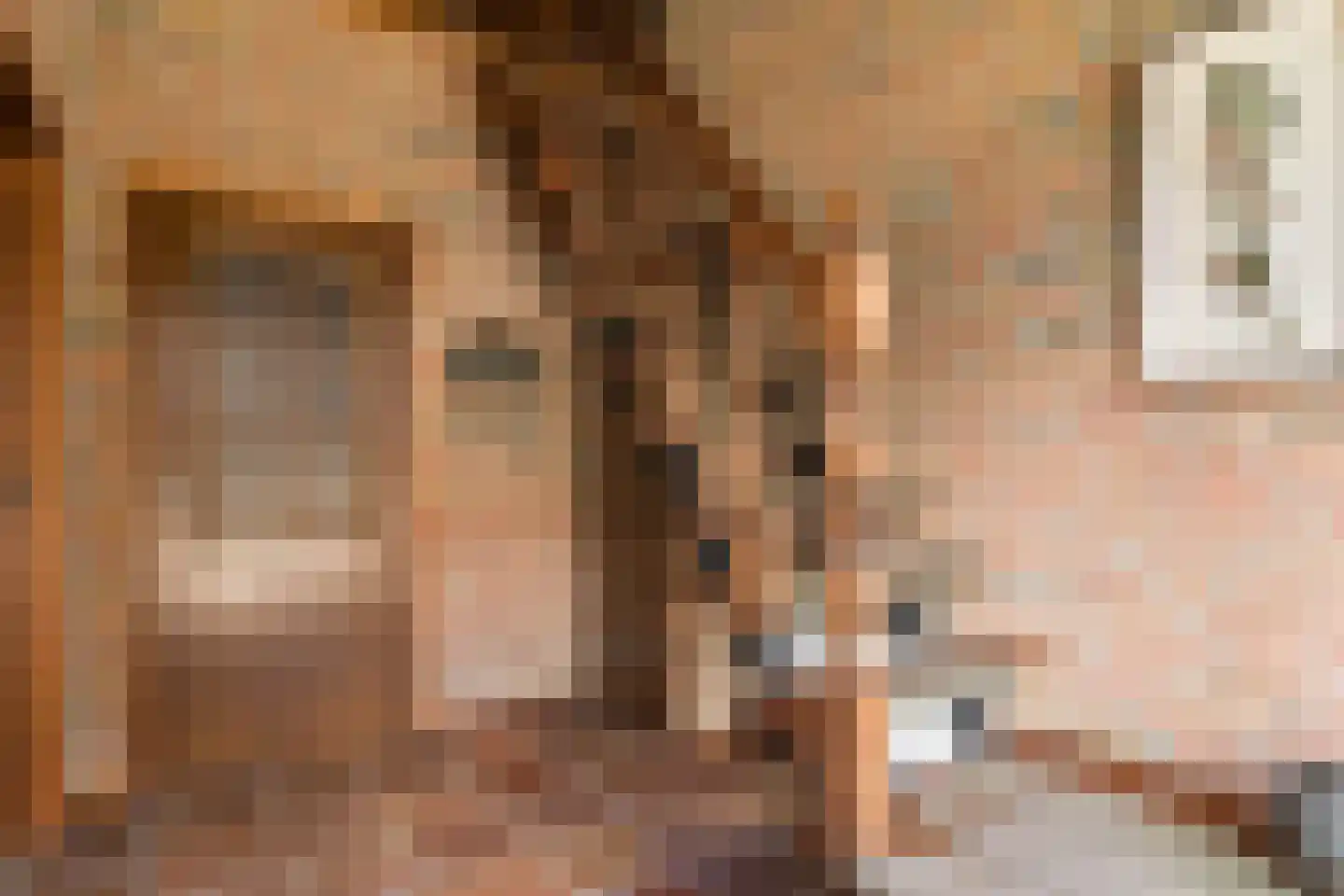 Hogeboekelweg 87 Losser thumbnail 15