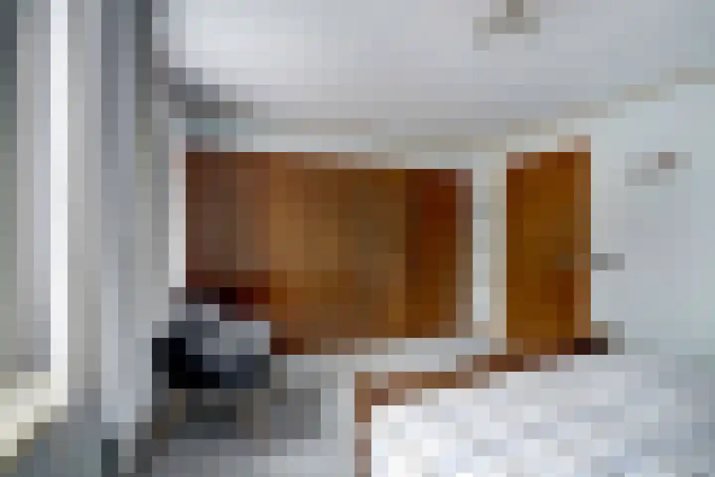 Hogeboekelweg 87 Losser thumbnail 18