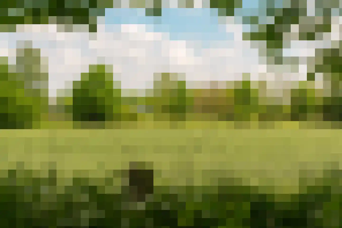 Hogeboekelweg 87 Losser thumbnail 37