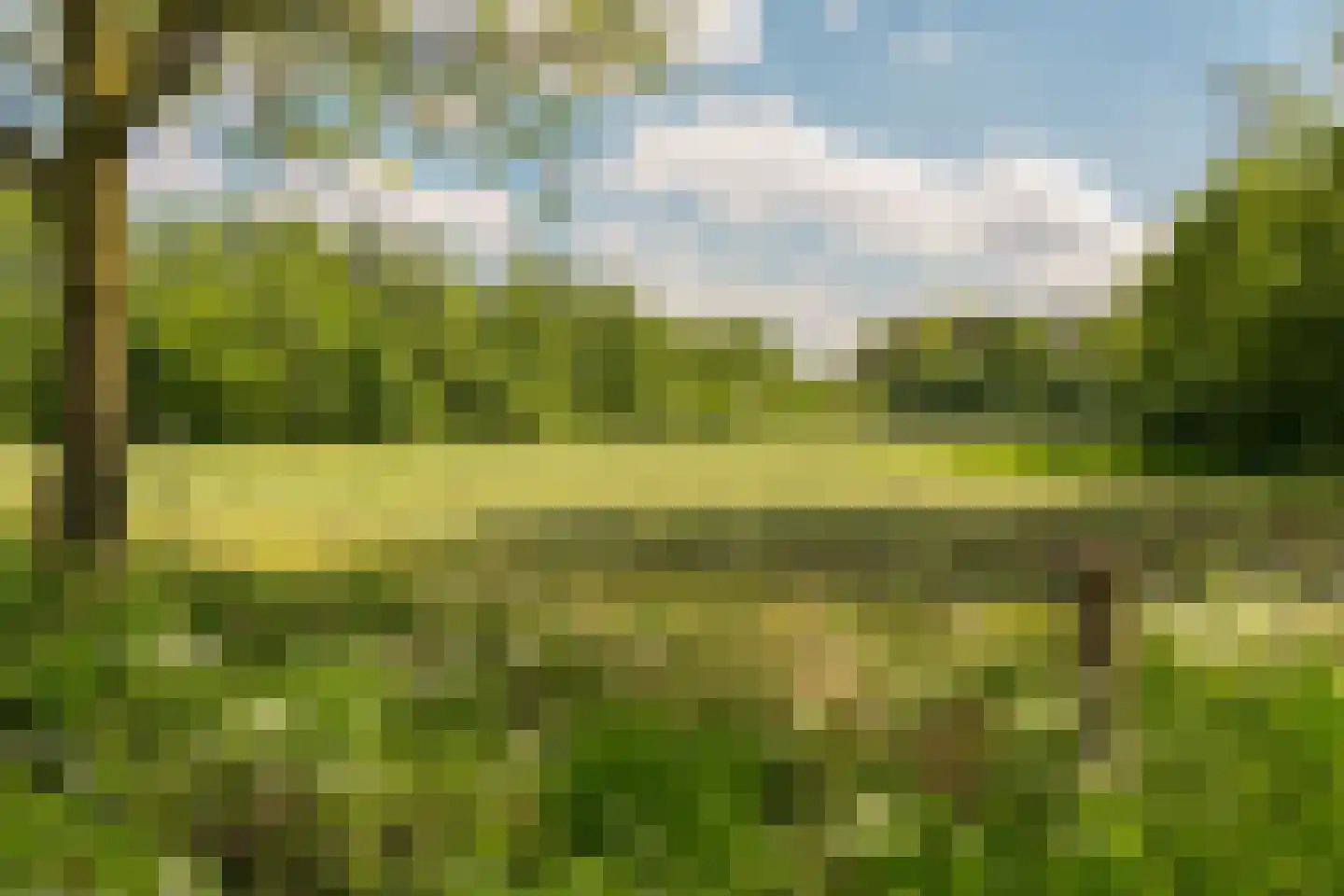 Hogeboekelweg 87 Losser thumbnail 38