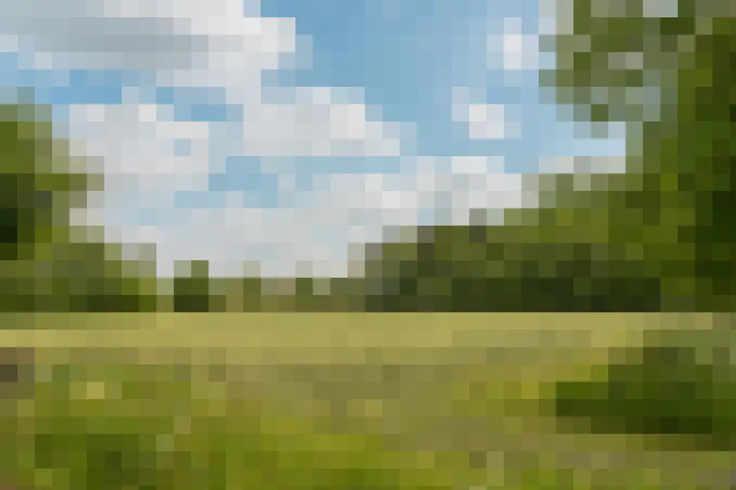 Hogeboekelweg 87 Losser thumbnail 39